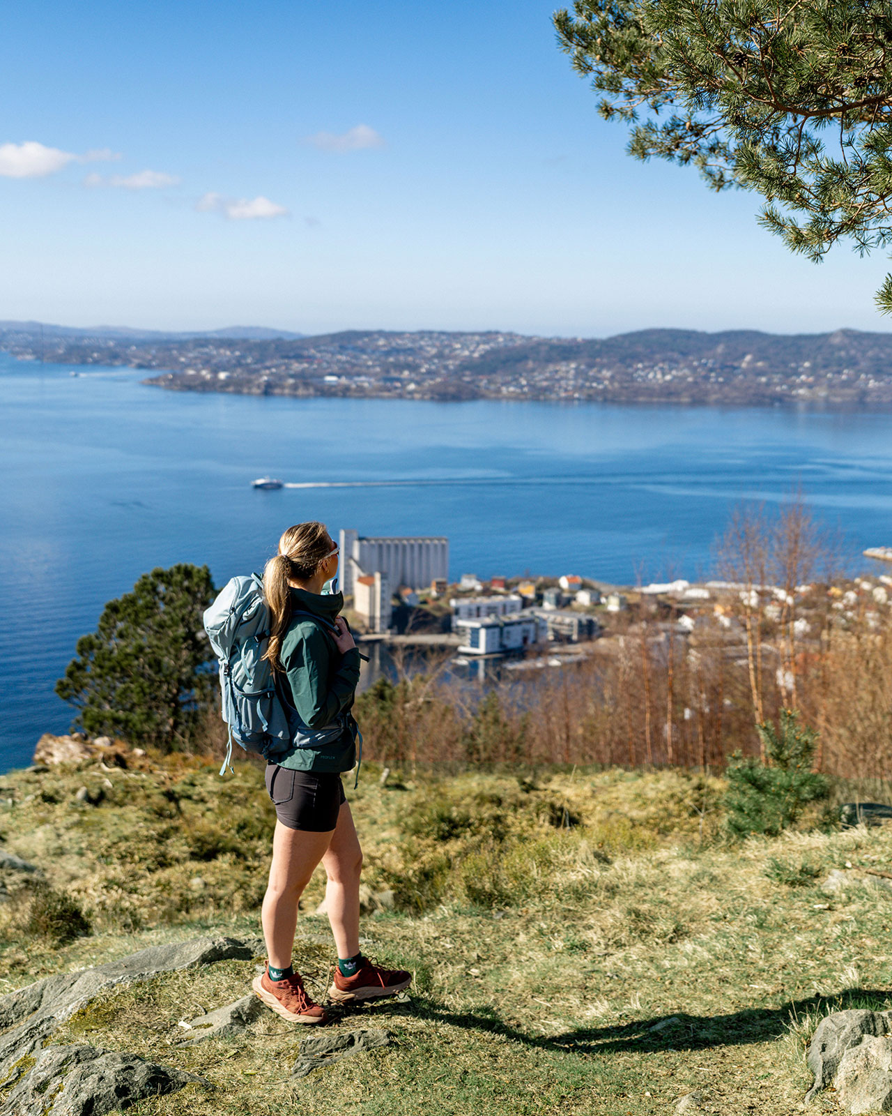 Utsikt fra fjellet mot Hegreneset og fjorden